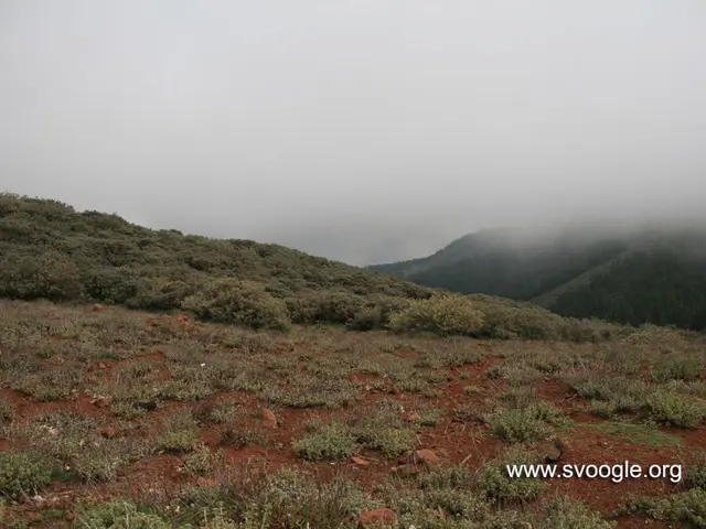 Thai border authorities apprehended digital gaming equipment destined for illicit online betting,...