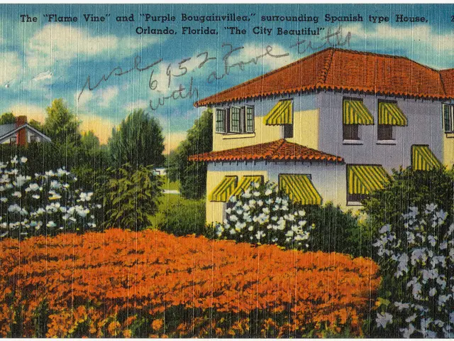 Recovered high-end vehicles, as claimed by the Rhees to investors, allegedly destined for massive...