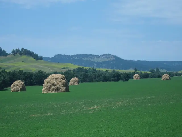 Prepare for the thrilling "BGaming Drops Frenzy" competition! Compete to claim your portion from...