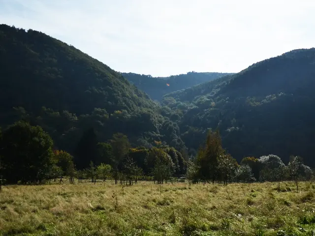 Experience the Thrill of the Steps to Fortune Tournament at PowBet Casino, offering a exhilarating...