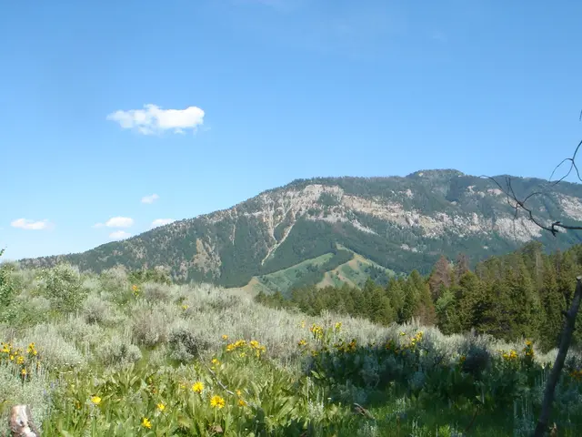 Online gaming company Games Global reveals significant win on progressive jackpot following claim...