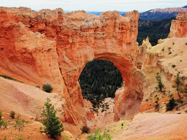 Weekly lottery draws occurring on Wednesdays and Saturdays