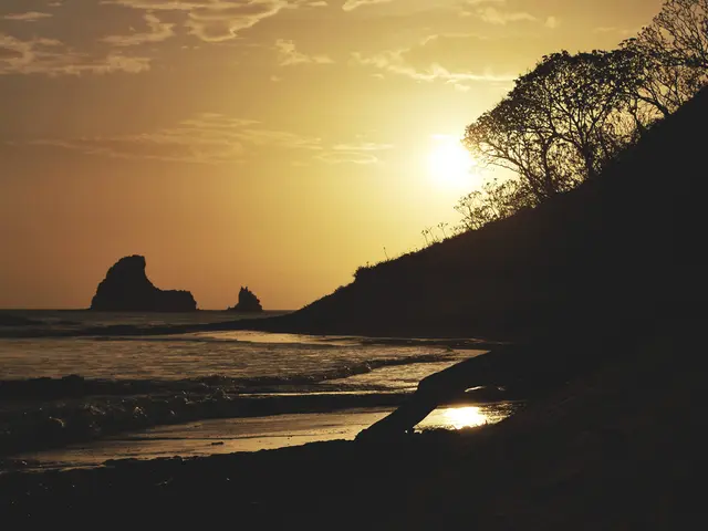 Is 'The Top-Notch Card Game Ever' truly deserving of this title? Let's take a closer look...