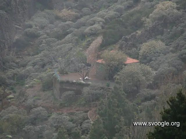 Unusual Bigfoot Encounters in the Enigmatic Mount Shasta Region