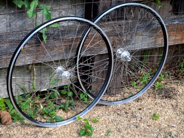 Predicting Tomorrow: A Look Ahead