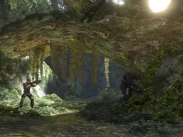 Exploring the Basics of Starlight Wins Online Slot Game