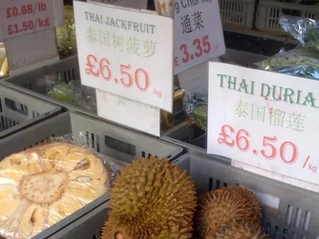 Sizzling Fruit Exhibition