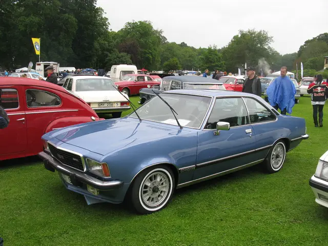 Hemp fair in Düsseldorf, showcasing the process from cultivation to consumption, known as Cannafair
