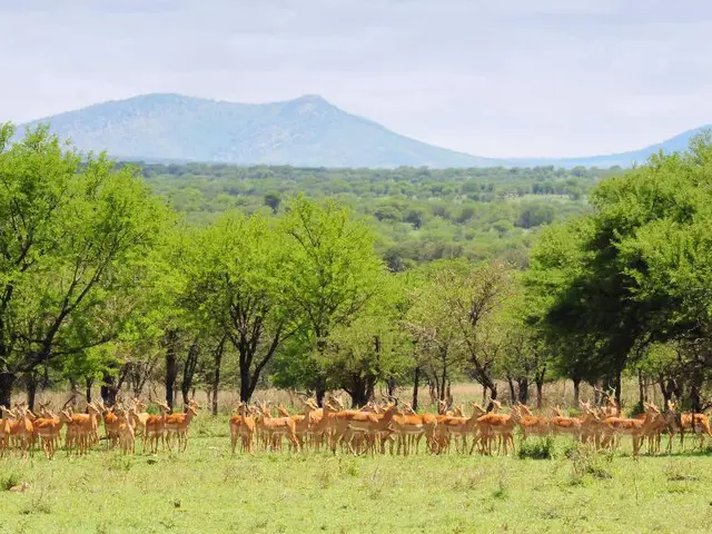 Ultimate Access Point