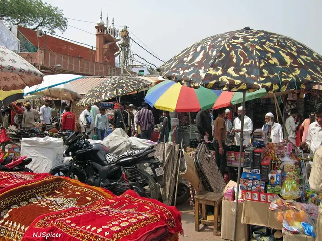 Struggling food supplies in a Sudanese urban center: Suggestions for offering relief