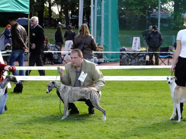 Local gambling regulations in Wyoming shift towards more local decision-making, potentially...