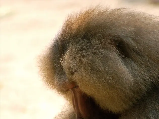 Returning once more: Those unpalatable contemporaries