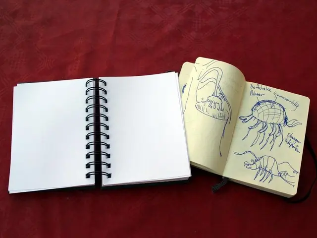 "Participants stunned as AYTO contender expresses a desire for vomiting"