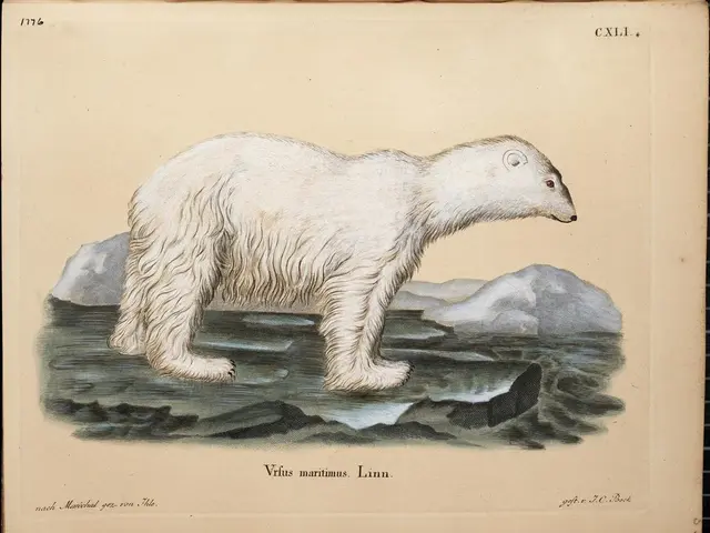 Grizzly Bear and Polar Bear Comparison: Determining Size and Strength