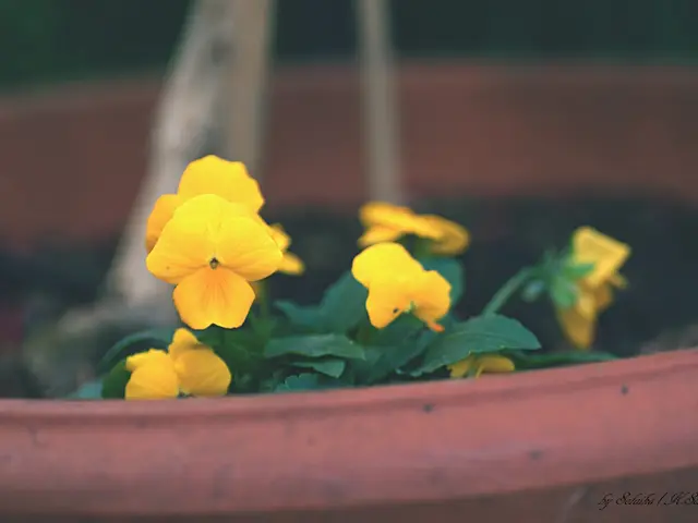 Quantum Flux Photon Counting CT Technology Advances with Complete Vertical Manufacturing Process