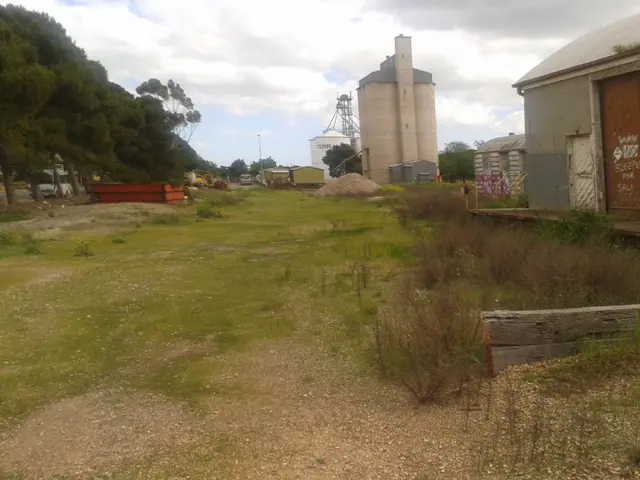 Pushing the boundaries of relentless ambition: A look at the debated intensity of entrepreneurial...