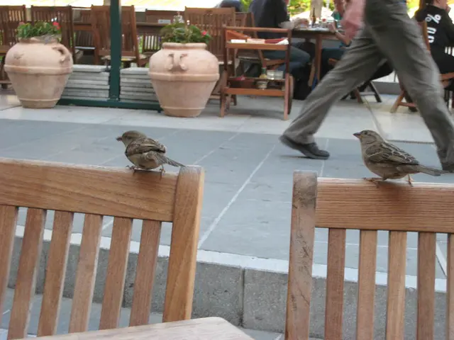 Eating dinner and taking a walk afterward could significantly improve digestion and overall health.