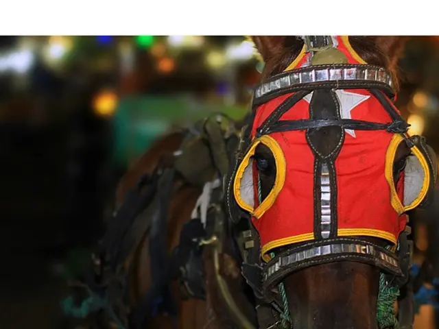 Unveiled: Identity of the Person Who Purchased Katie Price's Allegedly Cursed Mucky Manor for £1.1...