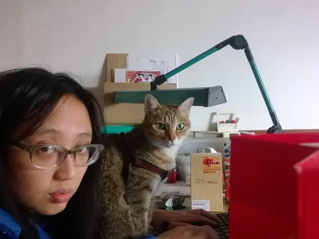 Mouse Adventure Continues: Chapter Two