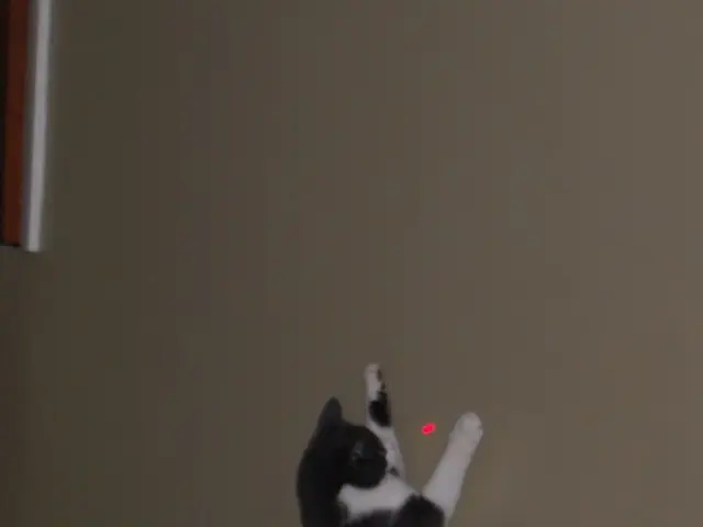 Engineering Lab Life Exploration