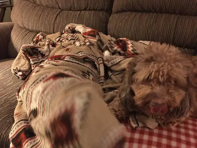 Upgrading the Comfort of IKEA Friheten with Top-Notch Sheets: A Transformation to Cozy Bliss