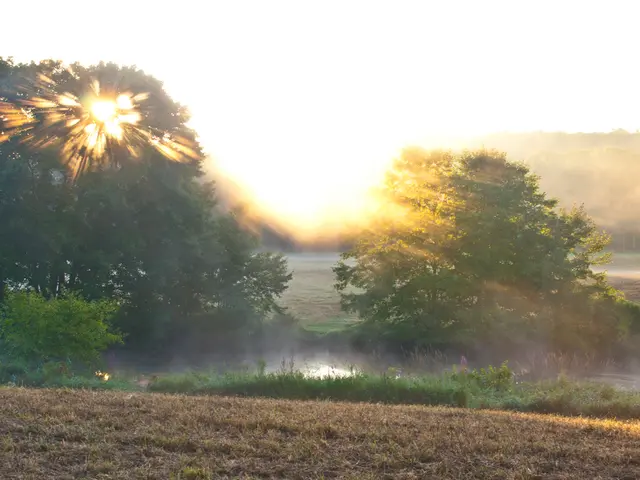 Mars May Hold a New Mineral Discovery, Suggesting a Longer Warm Period in its Past