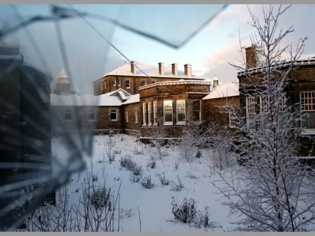 Houseplants to Grow During Winter for combating the winter blahs