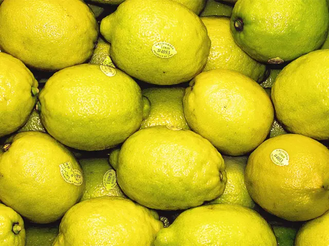 Cultivate Your Lemon Tree: A Guide to Growing a Lemon Seed into a Vibrant Plant