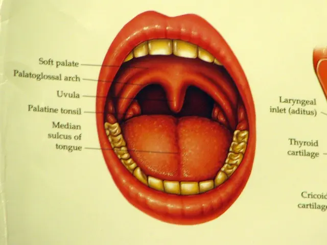 "Exploring Our Fascination with Mouths: A London Exhibition Delves into Oral Obsessions, Ranging...