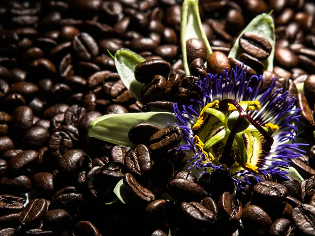 Expansive coffee exports fuel the country's economic advancement