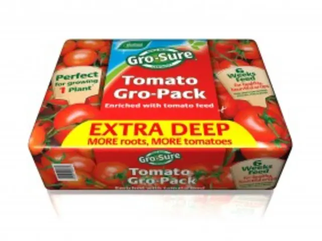 Skimp on expenses and secure up to 23% discounts on Pokémon TCG Destined Rivals boxes by bypassing...