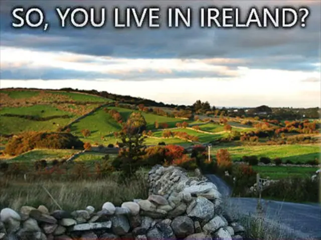 Los Angeles locals resort to harnessing the power of nature for self-guided soil purification...