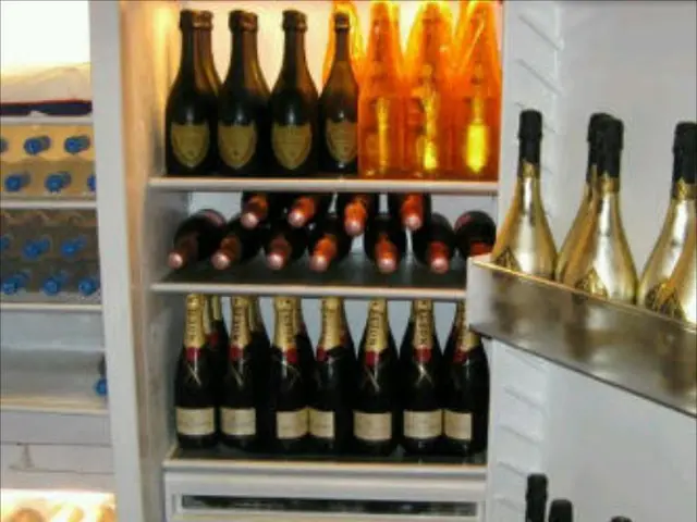 Transformed storage solution: Wine refrigerators now serve as fashionable style statements