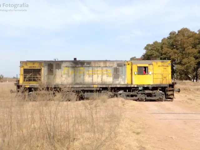 Period Drama "Train Dreams" Release Details, Star-studded Cast, and Key Information Regarding Joel...