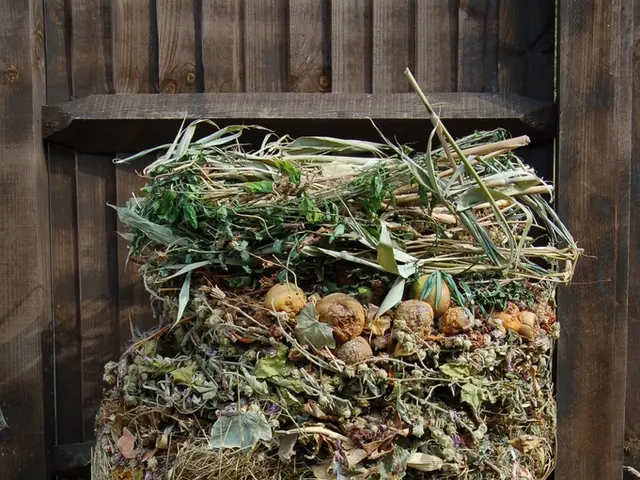 Summer Living Eco-Friendly: Tips and Tricks