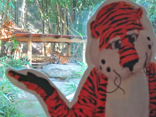 Tigers, specifically Bengal tigers, are commonly found inhabiting swampy areas, vast forests, and...