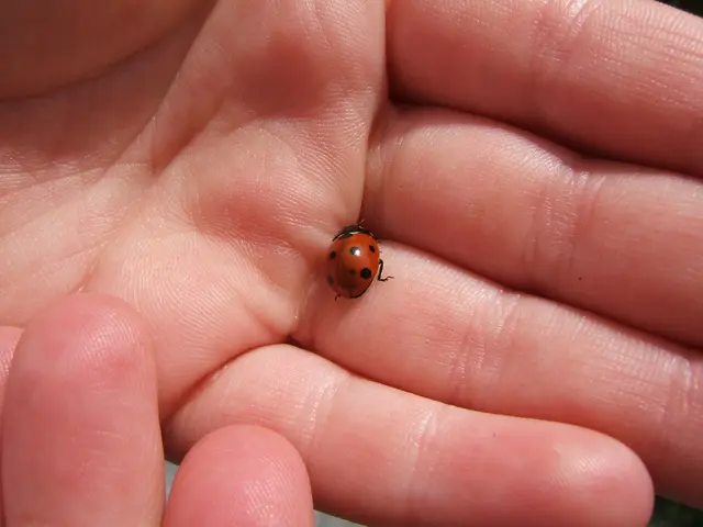 Differentiating Between Apraxia and Ataxia: Symptoms, Causes, and Prognosis