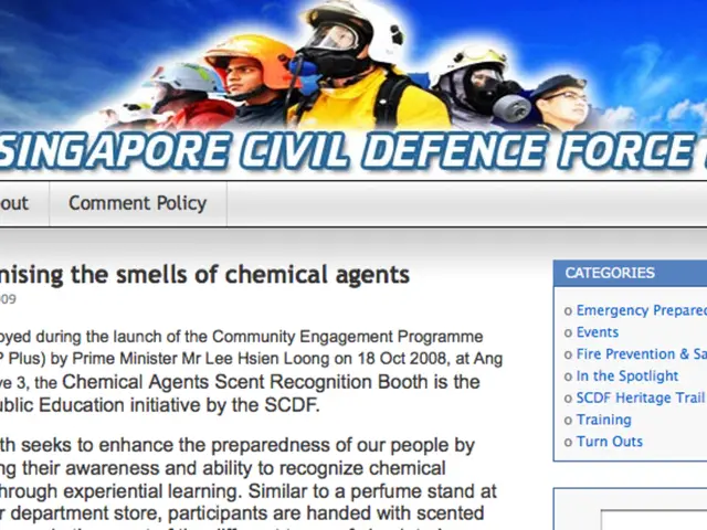 Fundamental Number Concepts in Arithmetic: A Focus on Prime Numbers