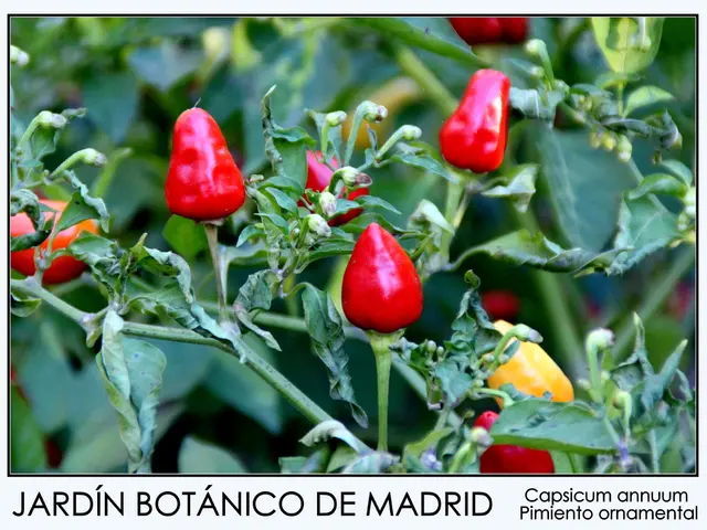 Fuel your physique with top-notch nutrients from Garden of Life...