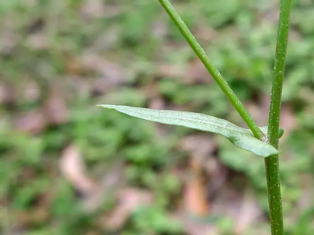 Advancing Scientific Education with the New Science Standards for Future Generations
