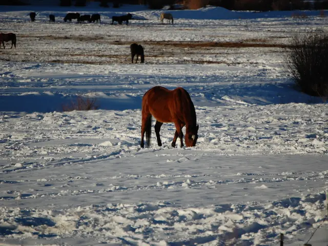 Stunning Insights into the World's Threatened Wildlife