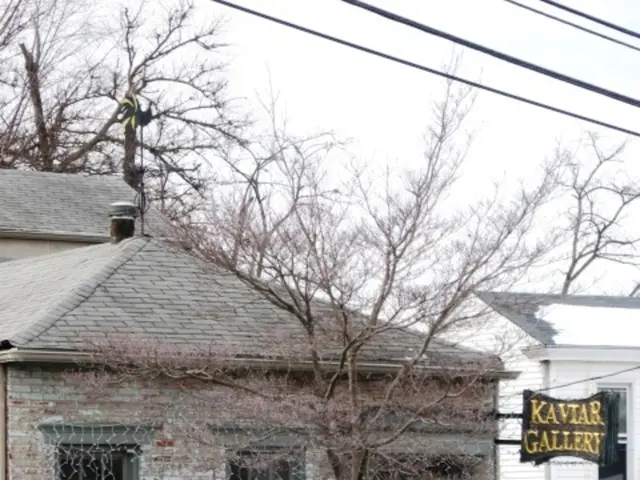 Top 5 Strategies for Keeping Your House Cool sans Air Conditioners