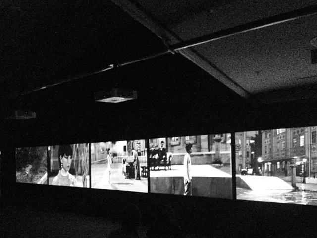 Exploring the Detail in 4K: A Complete Overview of Megapixels