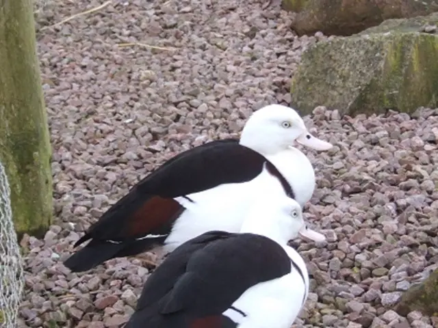 In League of Legends, what is the gold-generating champion or equipment that yields the greatest...