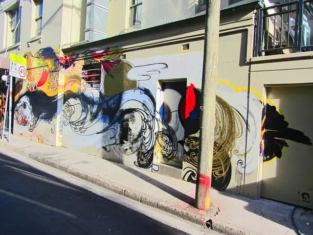 Urban artist Guido van Helten commences a massive street art initiative this Friday