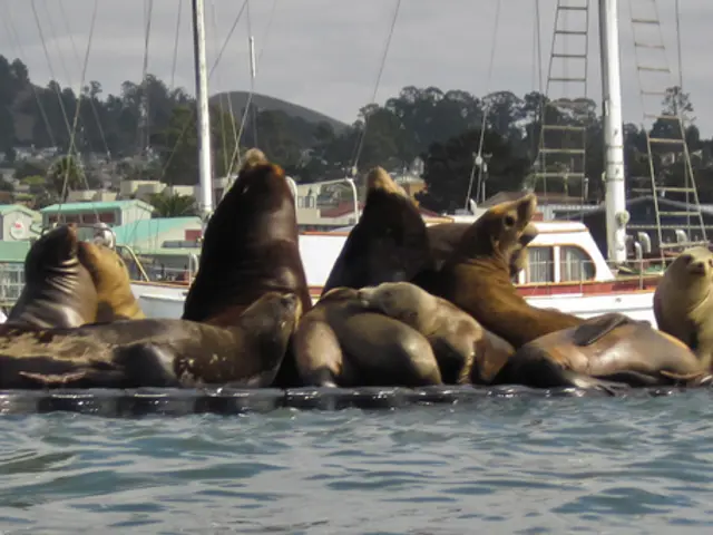 Tourist from Primorye Region Displays a Water Journey at Contest "Far East - Realm of Adventures"