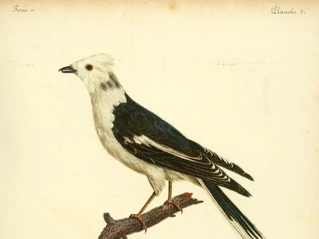 Hesitation among investors regarding the Fed Chairman's anticipated address.