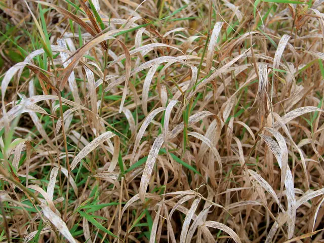 Seven Creative Gardening Projects for Growing Plants Outdoors, Encouraging Astonishment in Nature