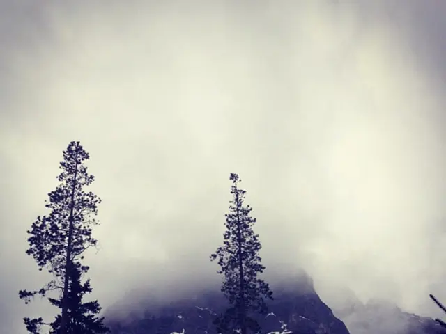 Rainy day expected for Cruzeiro do Sul on Monday (25)