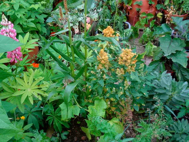 Fresh Ideas for Gardeners: 2022's Top 10 New Year's Resolutions